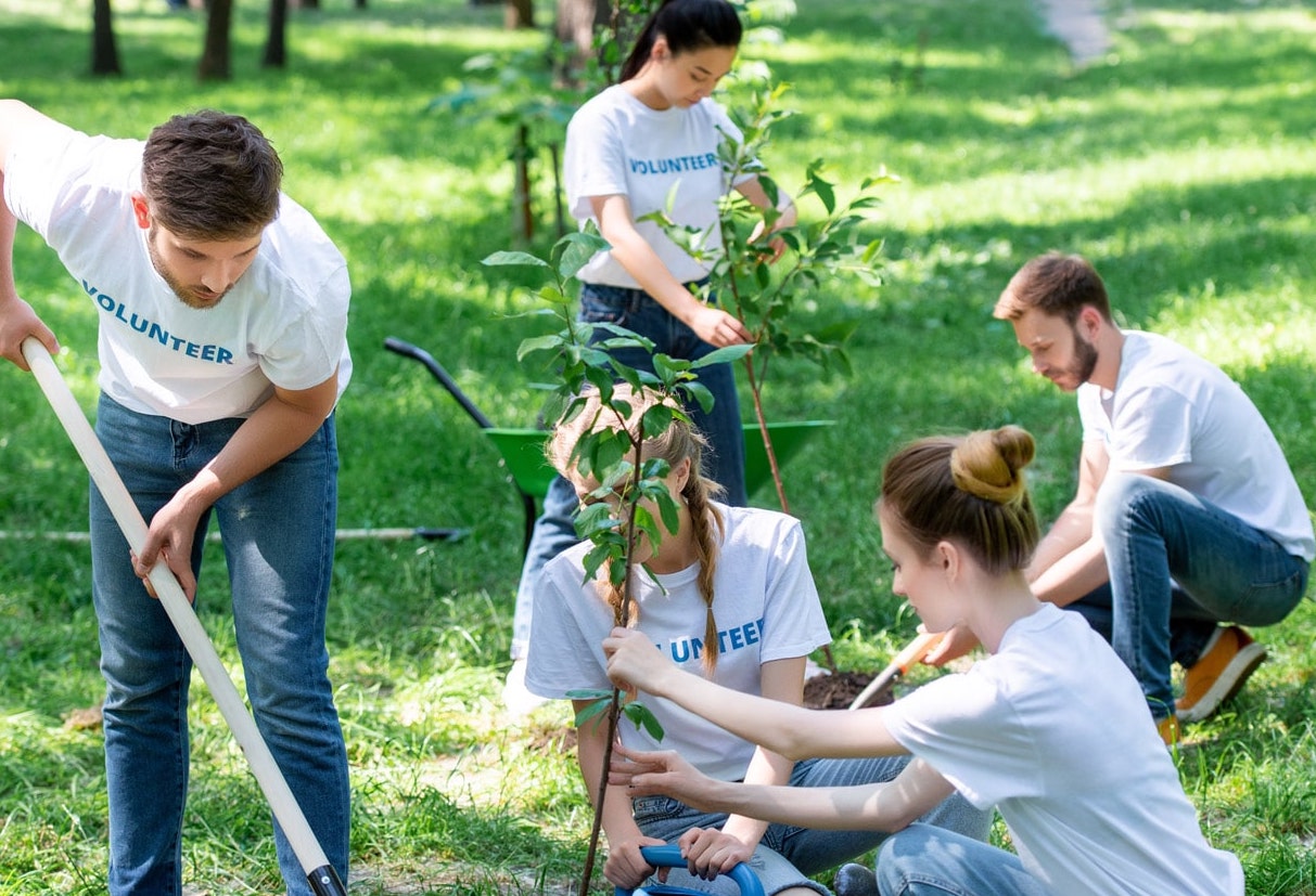 Volunteers are gardening for Nonprofit