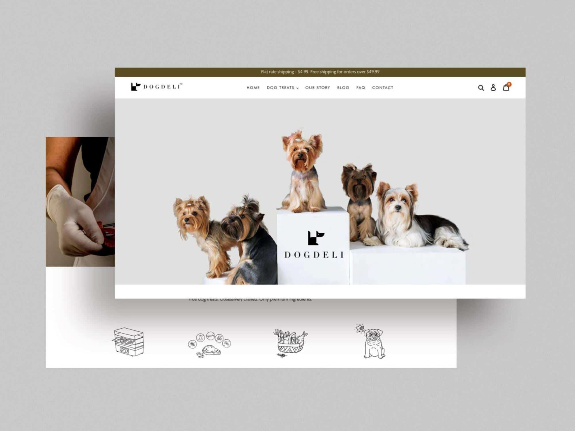 DogDeli website homepage