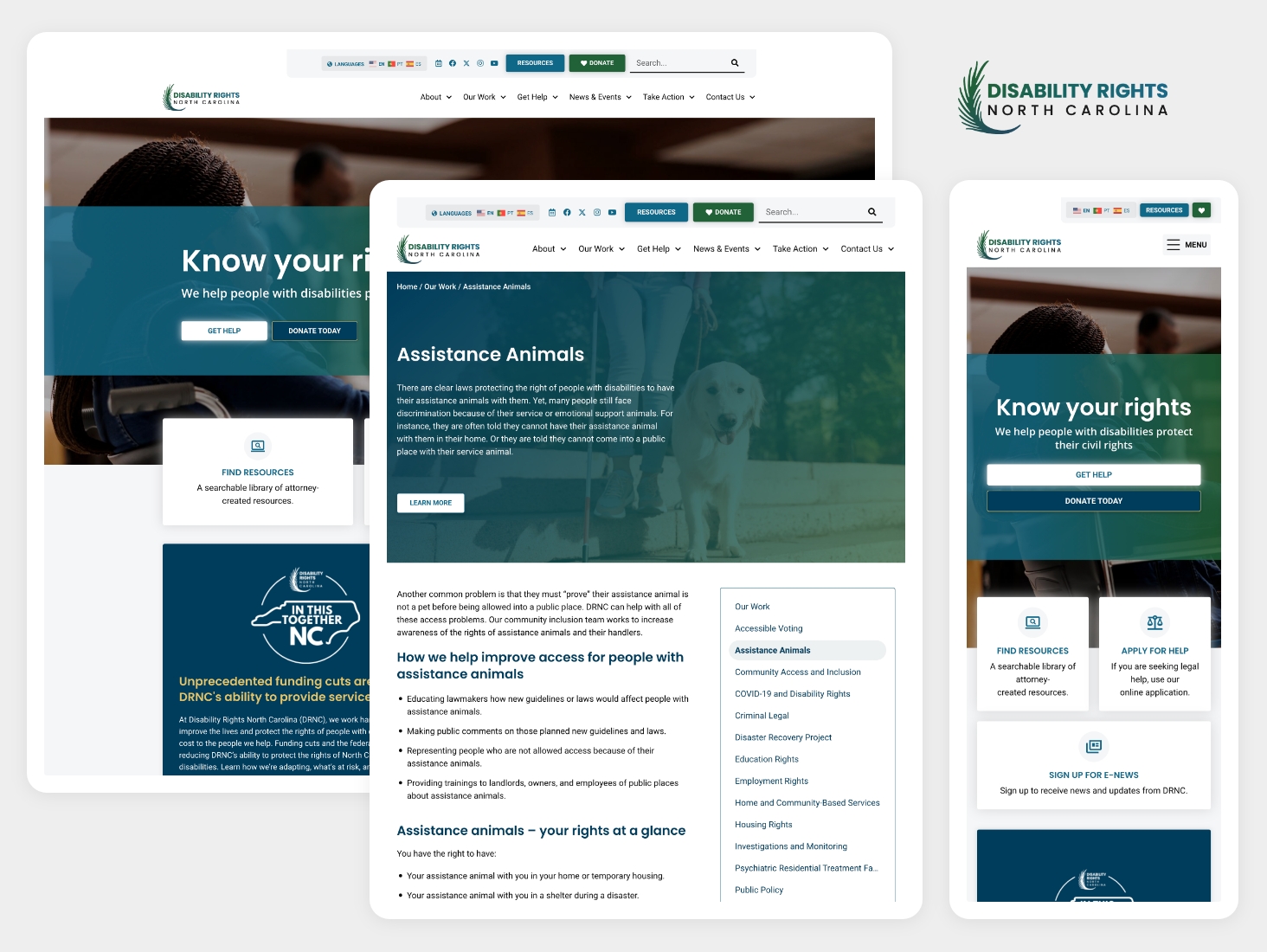North Carolina nonprofit P&A website mockup with clean and modern web design and development