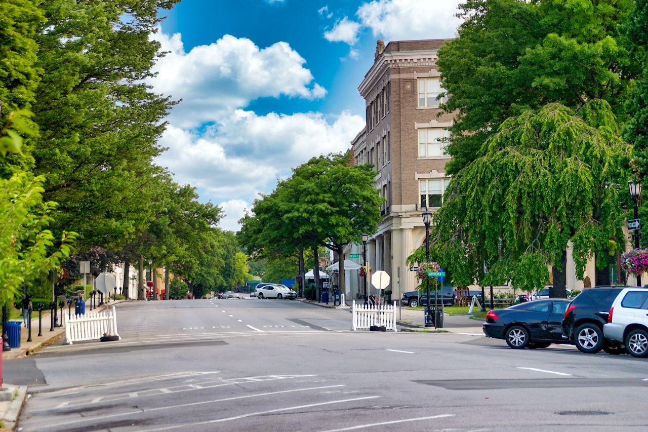 Greenwich Avenue Shopping District businesses are supported by EDCs