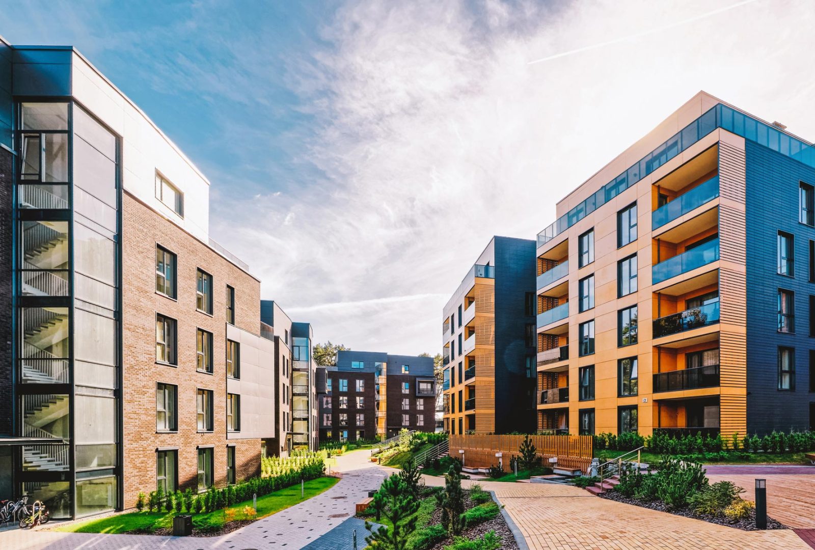 Live-DW-Featured-Image