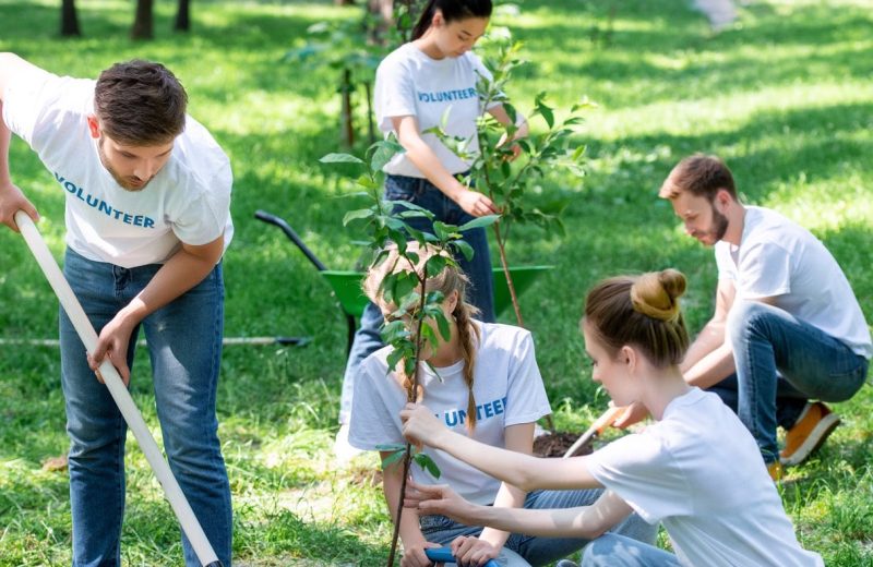 Volunteers are gardening for Nonprofit