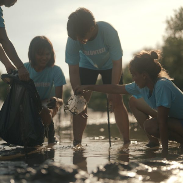 Nonprofit team - Group of volunteers cleaning on the beach