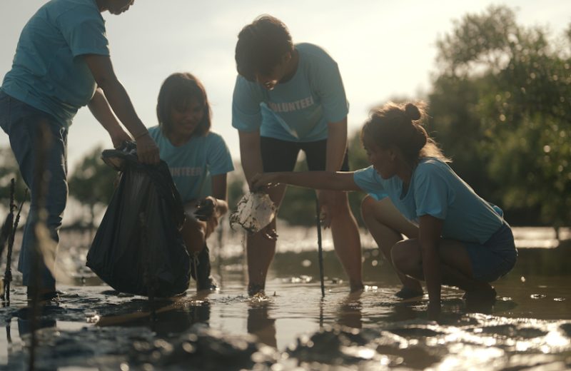 Nonprofit team - Group of volunteers cleaning on the beach